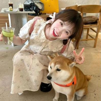 小鸳鸯 在线观看封面