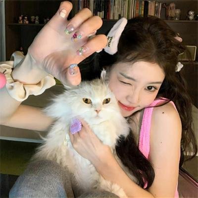 淑女绅士 在线观看封面