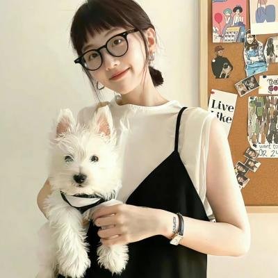 诱惑的港湾 在线观看封面