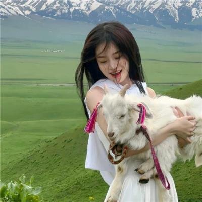 公民毒魔：毒魔复仇4 在线观看封面